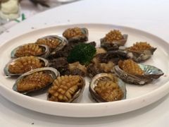 -鲁班张葱烧海参(马庄街店)