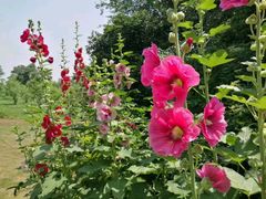 -艾溪湖湿地公园