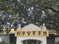 -长洲岛