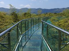 -陶祖圣境风景区
