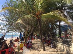 -Bamboo Bar & Grill Restaurant