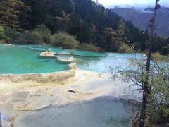 -黄龙山原始森林景区
