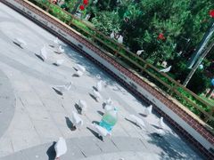 -南宫五洲植物乐园