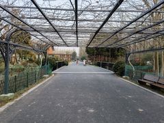 -东平国家森林公园