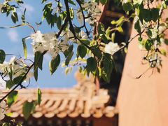 -故宫博物院(故宫)