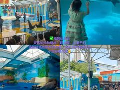 -海合安成都极地海洋公园