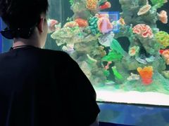 -厦门海底世界