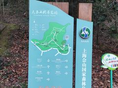 -上海佘山国家森林公园天马山园