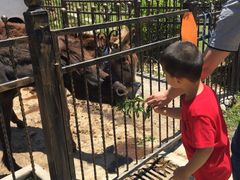 开心农场-上海滴水湖皇冠假日酒店