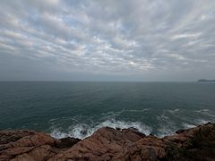 -广东惠东海龟国家级自然保护区