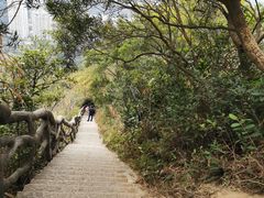 -梧桐山风景名胜区