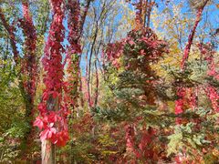 -水上乐园·欢乐世界