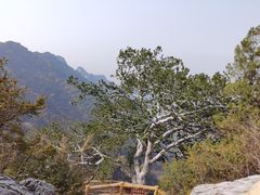-少华山国家森林公园