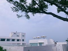 -海岛日记(养马岛店)
