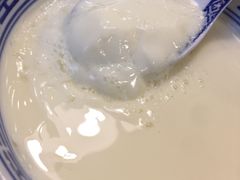 招牌姜撞奶-捷信牛奶甜品世家(五道口店)
