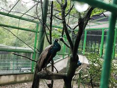 -藏龙百瀑风景区