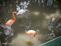 -西霞口神雕山野生动物世界