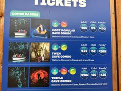 -怀托摩萤火虫洞