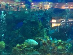 -成都浩海立方海洋公园