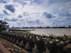 -上海滨江森林公园