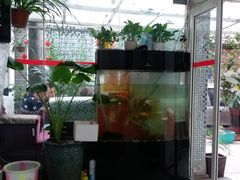 -老成都洗脚坊足浴连锁(天祥街店)