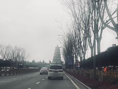 -秦豫肉夹馍(骡马市总店)