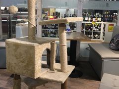 大堂-小时光咖啡馆(开森度假森林店)