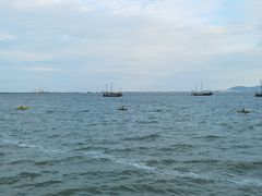 -贡湖湾湿地公园