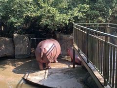 -宁波野生动物园