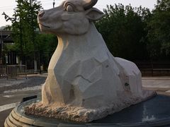 -永定河休闲森林公园