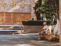 -金砂公园
