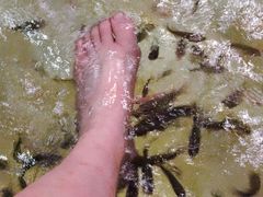 -天目湖涵田半山温泉