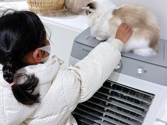 -怪兽屋·羊驼·猫咖·狗咖(俊华广场店)