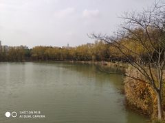 -昆山城市生态森林公园