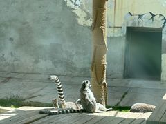 -青藏高原野生动物园