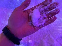 -世界之窗阿尔卑斯冰雪世界