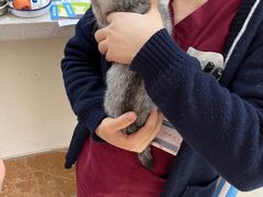 -美联众合动物医院·24h京西诊疗中心