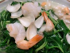 脆耳马兰-好福记饭店(红梅公园店)