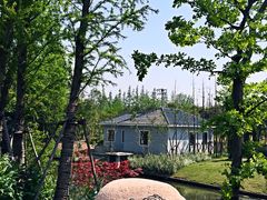 -上海长兴岛郊野公园