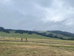 -新疆那拉提国家旅游度假区