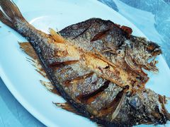 煎黃魚（只有焦焦，沒有了脆和嫩）-黎记大排档(慈云路店)
