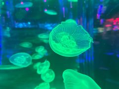 -成都浩海立方海洋公园