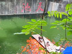 -千岛湖东南湖区