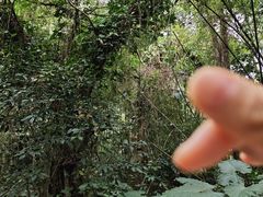 -深圳野生动物园