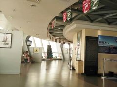 -339旋转餐厅(天府熊猫塔店)