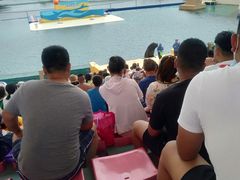 -秦皇岛乐岛海洋王国