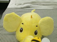 -PAWTOY爪e玩偶店(天兴罗斯福店)