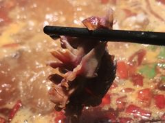-销魂美蛙鱼头火锅(上海首店)