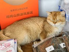 -鸡鸣山旅游景区