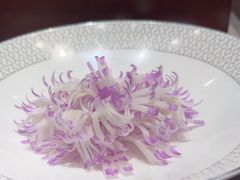 -龙宴海鲜城(经中路店)